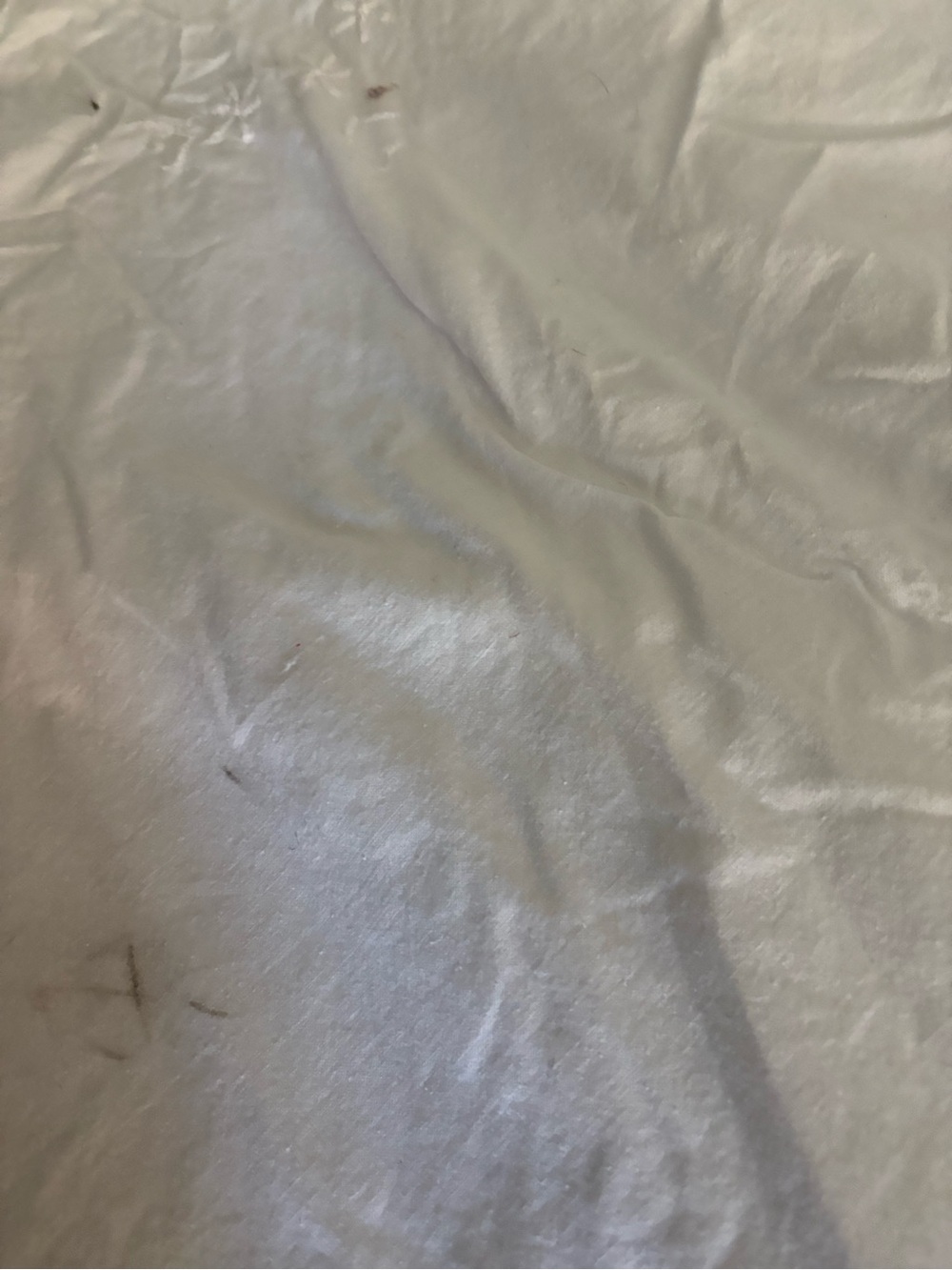 White Eyelet Tablecloth - Picture 6 of 6